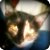 chescat :iconchescat:
