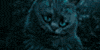 Chesire-Cat-FC's avatar