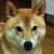 chocomei :iconchocomei: