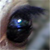 churra :iconchurra: