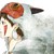 CHY9500 :iconchy9500: