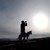 chylrobin :iconchylrobin:
