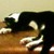 CinEvans :iconcinevans: