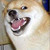Circusbabyfan102 :iconcircusbabyfan102: