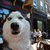 CLAUD1314 :iconclaud1314: