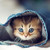 CLEOPATRA54 :iconcleopatra54: