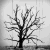 :iconclouded-and-shadowed: