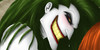 Clowning-in-the-Dark's avatar