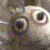 ClumsyPawPrints :iconclumsypawprints: