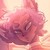 :iconclydeswob: