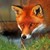 cmaedellin :iconcmaedellin: