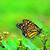 CNoackPhotography :iconcnoackphotography: