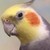 :iconcocktailplz: