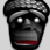 Coeuz :iconcoeuz: