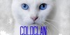 ColdclanTFM's avatar