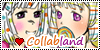 Collabland's avatar