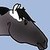 :iconcolorhorse2020: