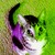 colouredTrout :iconcolouredtrout: