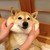 ComfyBoi :iconcomfyboi: