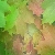 DeviantArt profile picture for @commune on DeviantArt