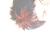 DeviantArt profile picture for @confrontations on DeviantArt