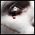 DeviantArt profile picture for @contradicted on DeviantArt