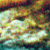 DeviantArt profile picture for @Contributors on DeviantArt