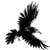 corvidcorax :iconcorvidcorax: