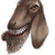 Corzar :iconcorzar:
