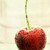 cosboom :iconcosboom: