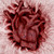 :iconcosmicvirus: