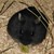 CotoneeBlogger :iconcotoneeblogger:
