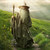 DeviantArt profile picture for @courtside on DeviantArt