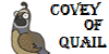 CoveyOfQuail's avatar