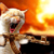 crash621 :iconcrash621: