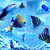 crayonmaster :iconcrayonmaster: