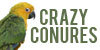 crazy-conures's avatar