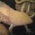 CrazyDragon89 :iconcrazydragon89: