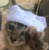 :iconcrazygirl2002:
