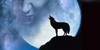 CrazyWerewolves's avatar
