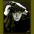 DeviantArt profile picture for @cripes on DeviantArt