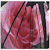 DeviantArt profile picture for @cris on DeviantArt