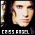 :iconcriss-angel-fans: