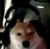 CrownedFloaa :iconcrownedfloaa: