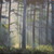 Cryslco :iconcryslco: