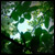CSuite :iconcsuite: