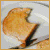 DeviantArt profile picture for @cur on DeviantArt
