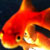 DeviantArt profile picture for @Cuss on DeviantArt