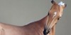 :iconcustom-model-horses: