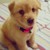 CzaGarcia :iconczagarcia: